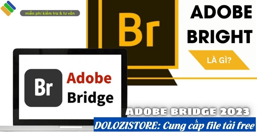 Adobe Bridge 2023.